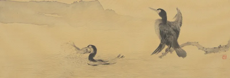 魚鷹