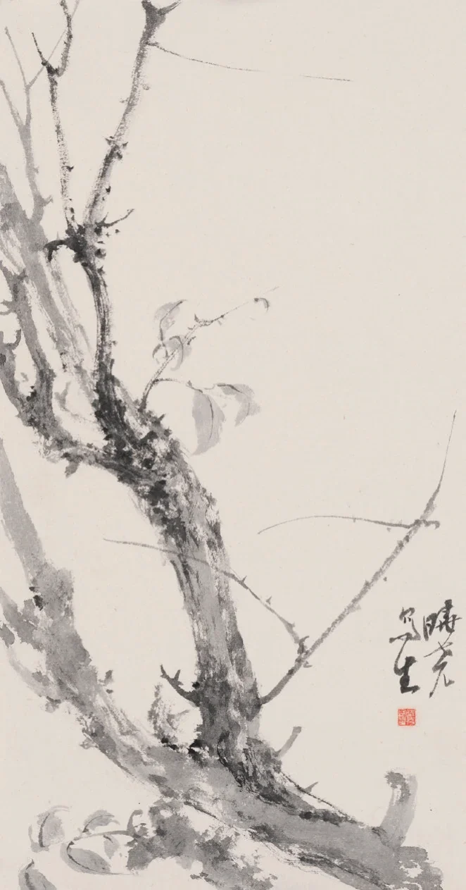 榆樹寫生