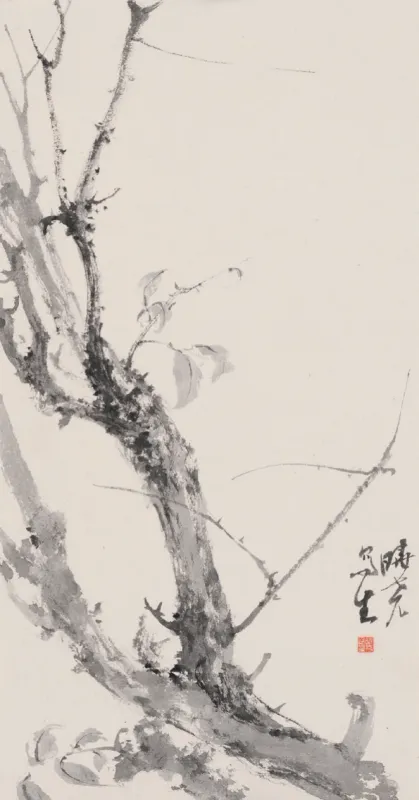 榆樹寫生