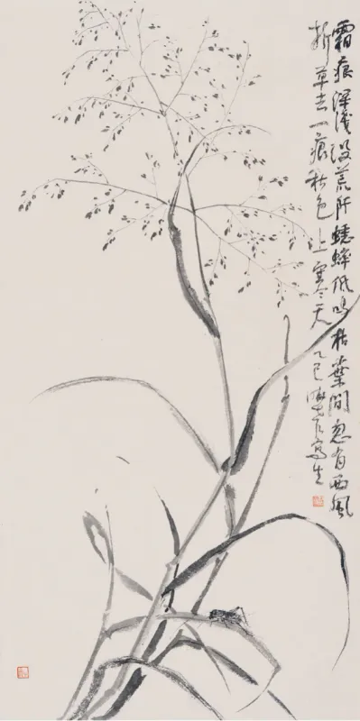 噴泉草