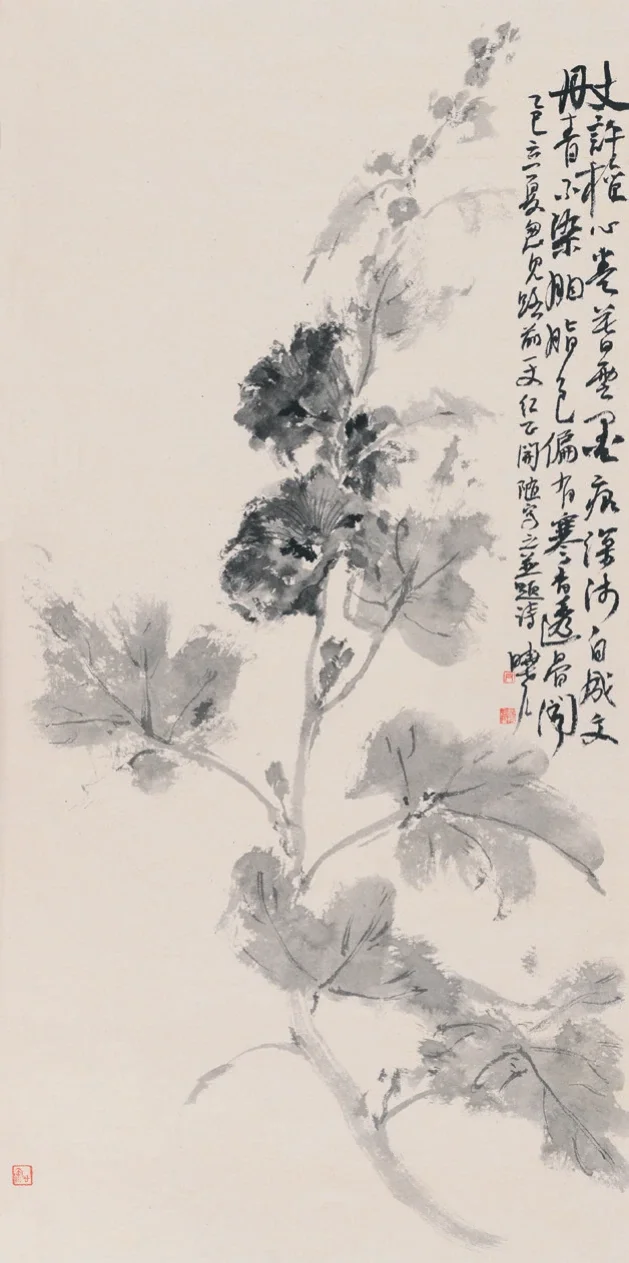 蜀葵