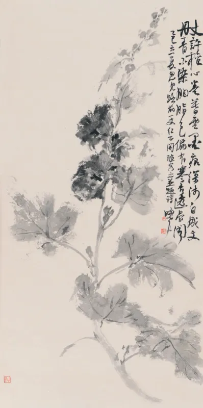 蜀葵