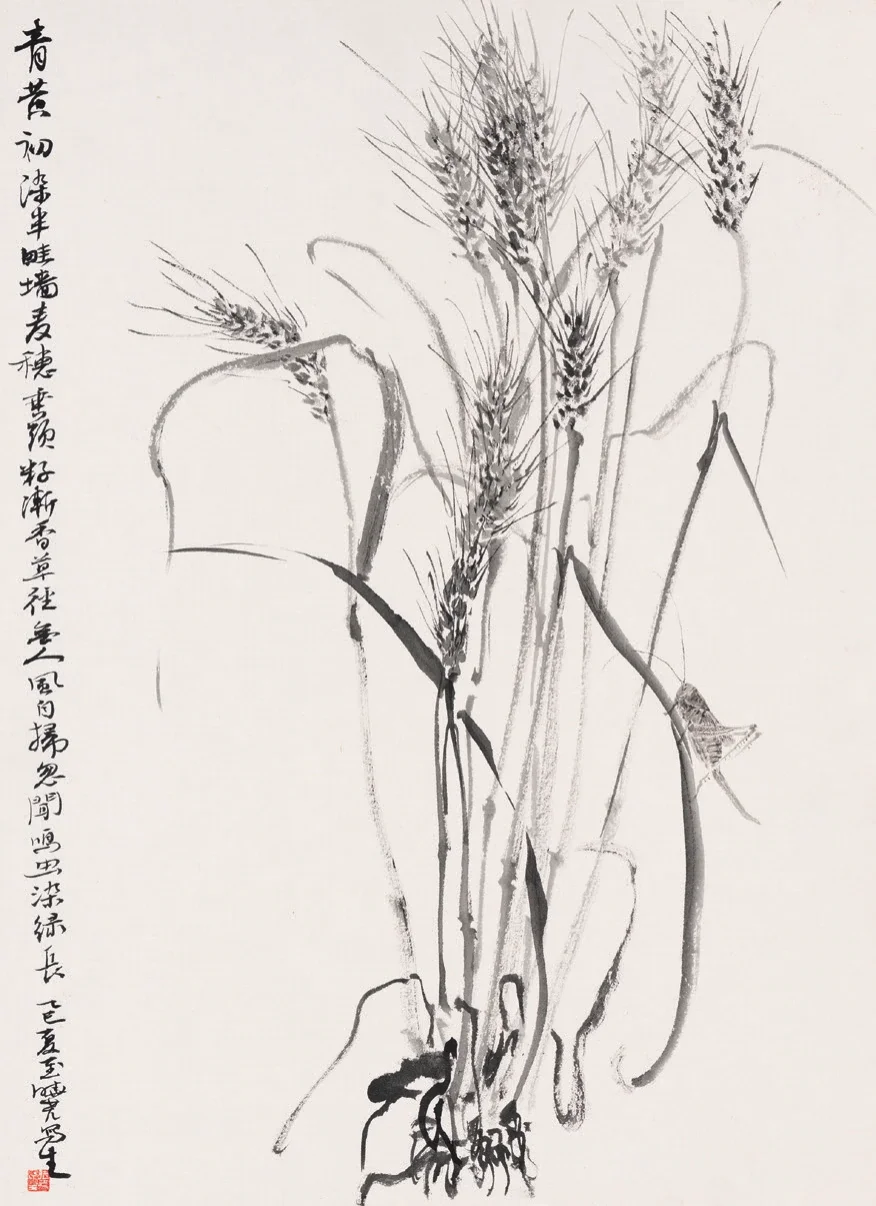 麥子熟