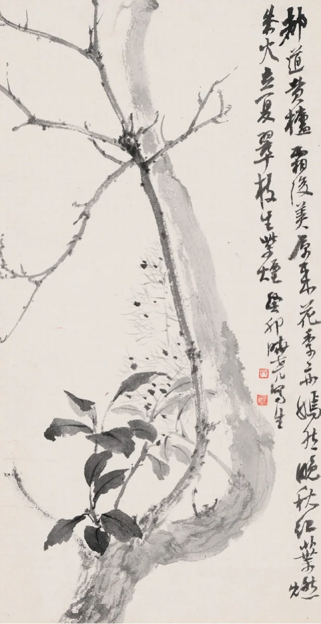 黃櫨寫生