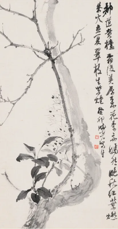 黃櫨寫生