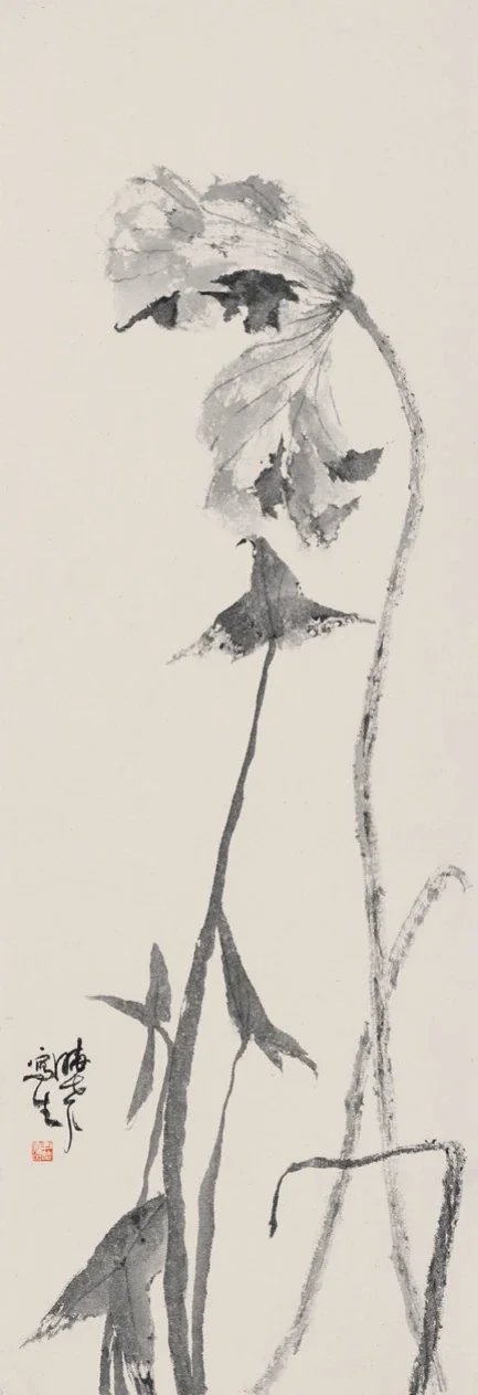 秋荷