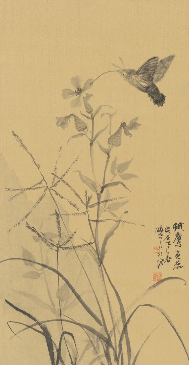 杂草