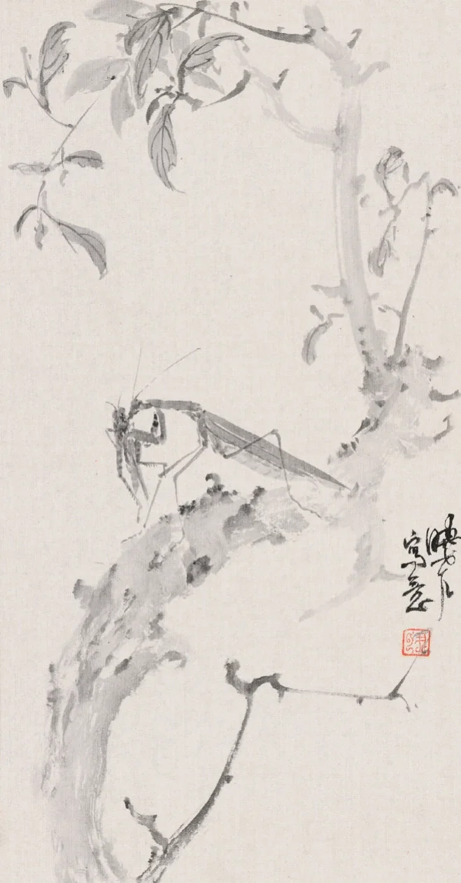 螳螂