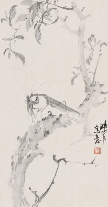 螳螂