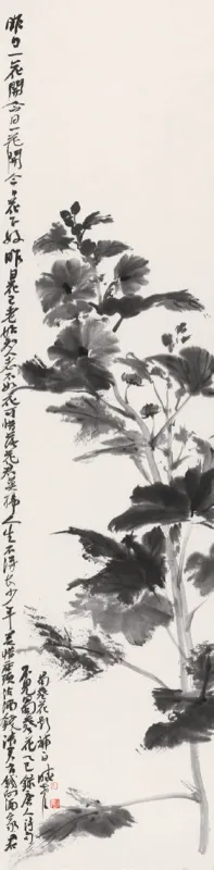 墨蜀葵