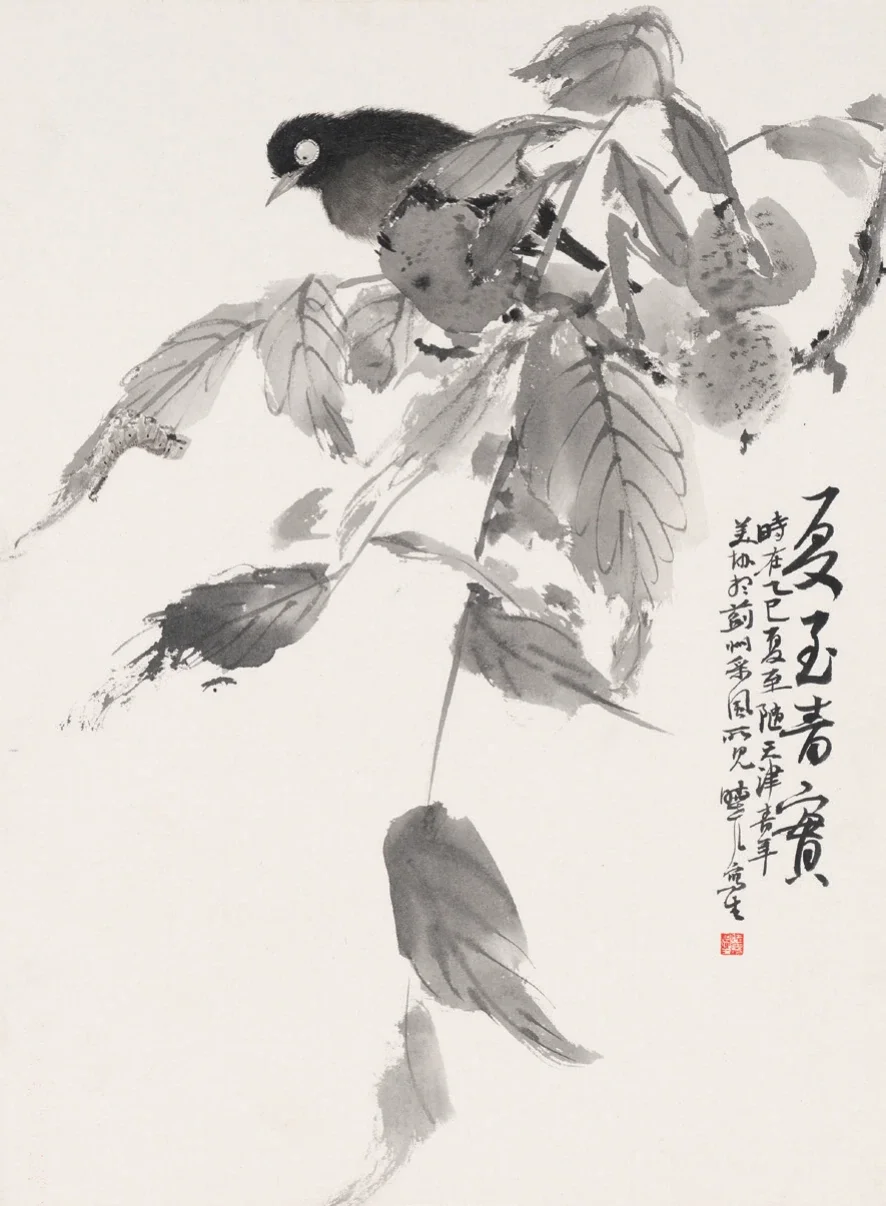 夏至青實