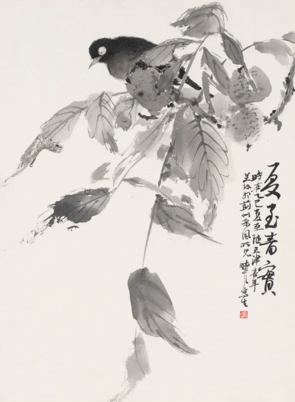 夏至青實