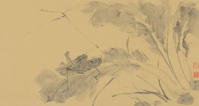 菜園小景