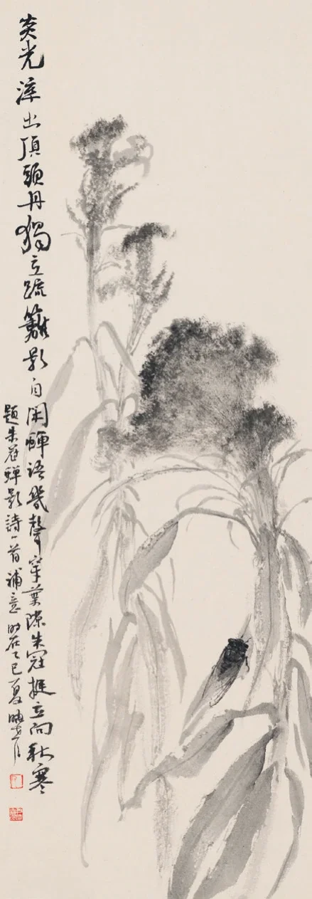 赤冠