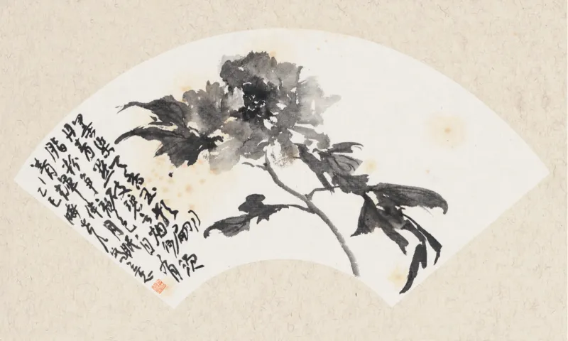 墨牡丹