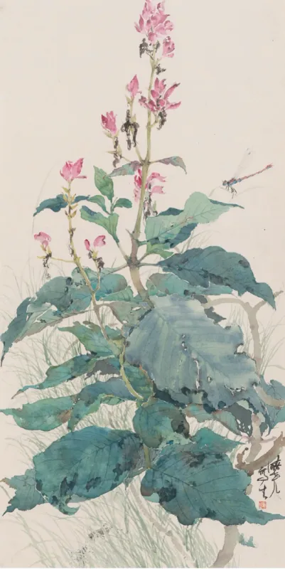 寫生赤苞花
