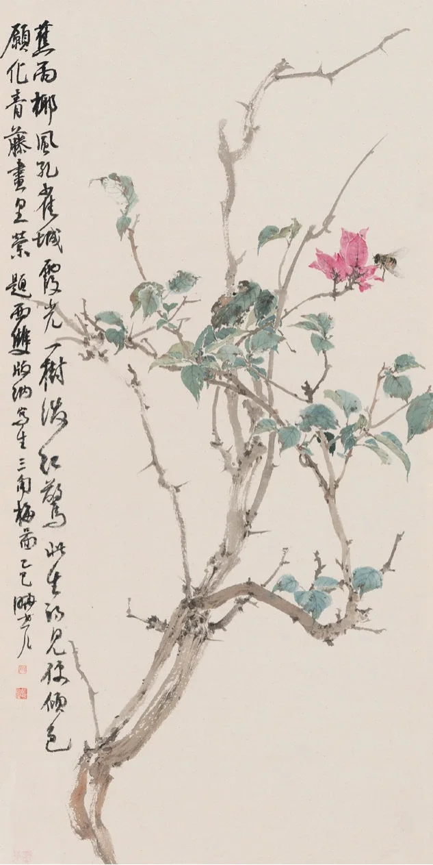 版納寫生三角梅