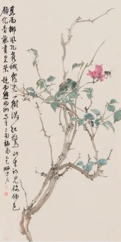 版納寫生三角梅