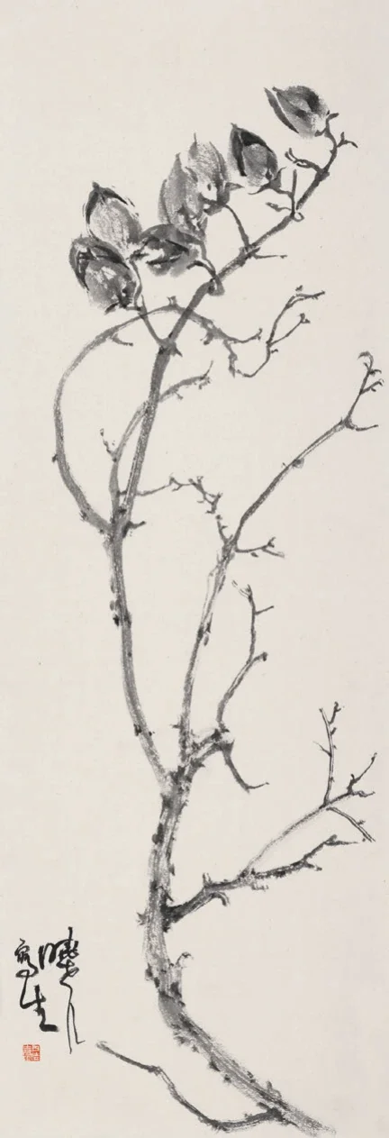 桐果