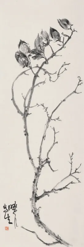 桐果