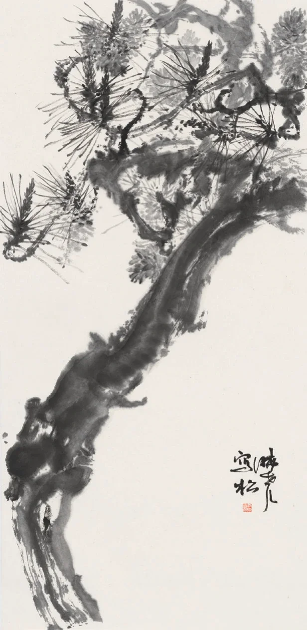 松之骨