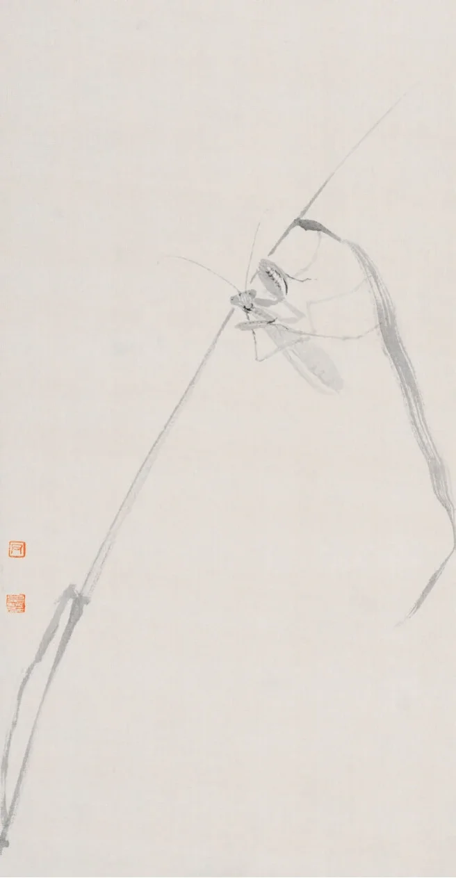 Praying Mantis