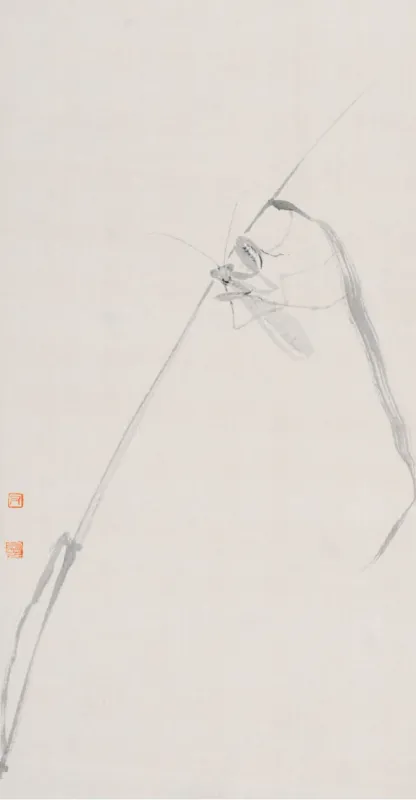 螳螂