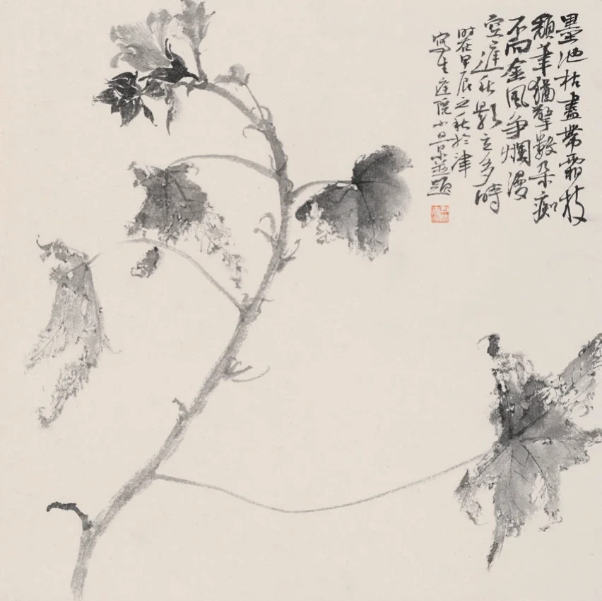 秋日蜀葵