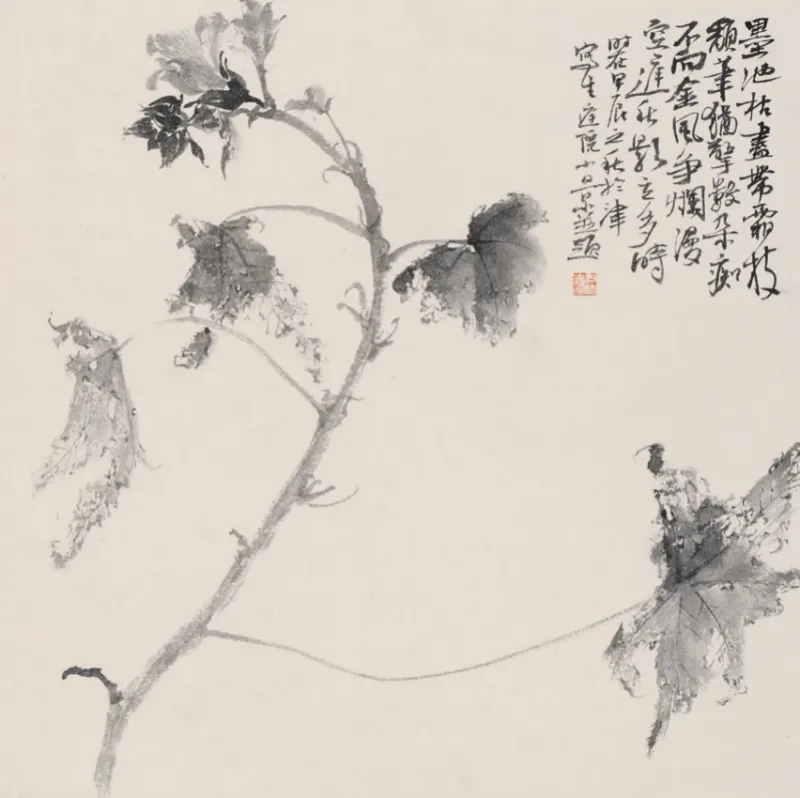 秋日蜀葵