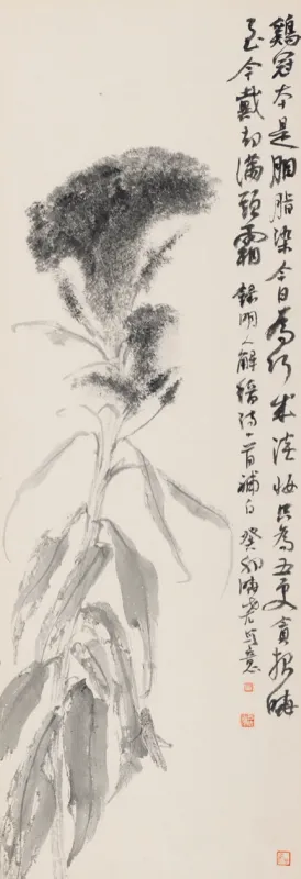 雞冠花